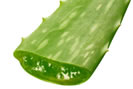 Aloe