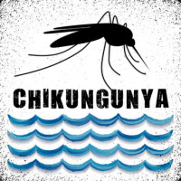 Chikungunya-water-big